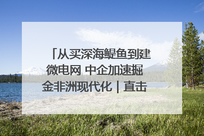 从买深海鳀鱼到建微电网 中企加速掘金非洲现代化｜直击中非经贸博览会