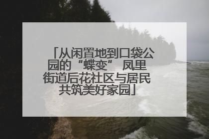 从闲置地到口袋公园的“蝶变” 凤里街道后花社区与居民共筑美好家园