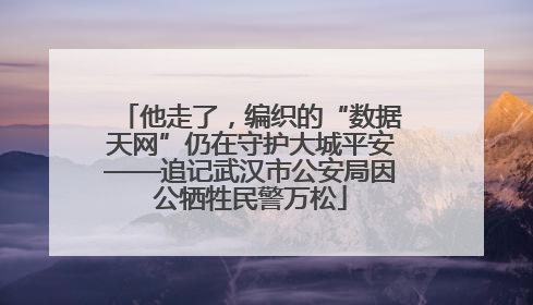 他走了，编织的“数据天网”仍在守护大城平安——追记武汉市公安局因公牺牲民警万松