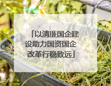 以清廉国企建设助力国资国企改革行稳致远