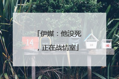 伊媒：他没死，正在战情室