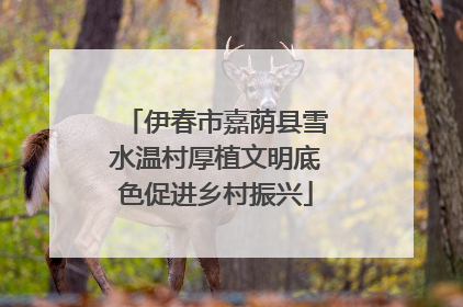 伊春市嘉荫县雪水温村厚植文明底色促进乡村振兴