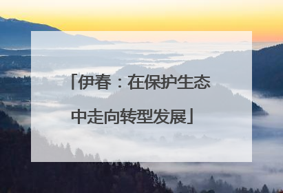 伊春：在保护生态中走向转型发展