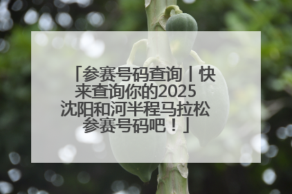 参赛号码查询丨快来查询你的2025沈阳和河半程马拉松参赛号码吧！