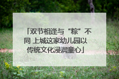 双节相逢与“粽”不同 上城这家幼儿园以传统文化浸润童心