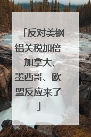 反对美钢铝关税加倍 加拿大、墨西哥、欧盟反应来了