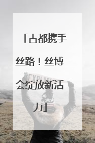 古都携手丝路！丝博会绽放新活力