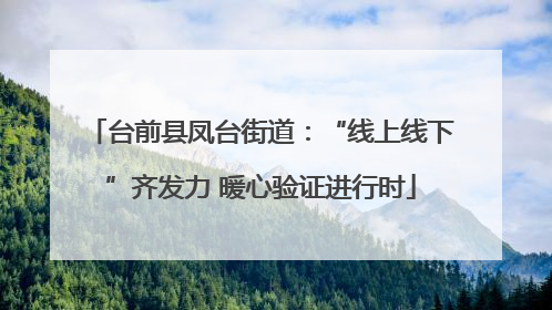 台前县凤台街道：“线上线下”齐发力 暖心验证进行时