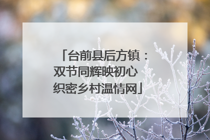台前县后方镇：双节同辉映初心 织密乡村温情网
