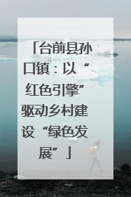 台前县孙口镇：以“红色引擎”驱动乡村建设“绿色发展”