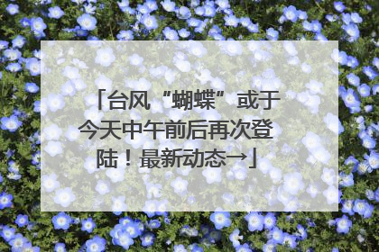 台风“蝴蝶”或于今天中午前后再次登陆！最新动态→