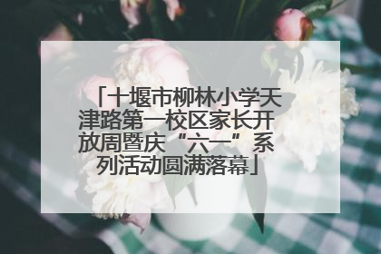 十堰市柳林小学天津路第一校区家长开放周暨庆“六一”系列活动圆满落幕