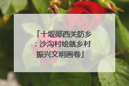 十堰郧西关防乡：沙沟村绘就乡村振兴文明画卷