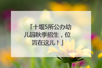 十堰5所公办幼儿园秋季招生，位置在这儿！