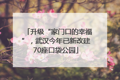 升级“家门口的幸福”，武汉今年已新改建70座口袋公园