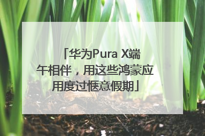 华为Pura X端午相伴，用这些鸿蒙应用度过惬意假期
