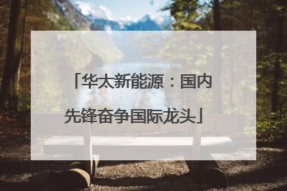 华太新能源：国内先锋奋争国际龙头
