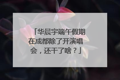 华晨宇端午假期在成都除了开演唱会，还干了啥？