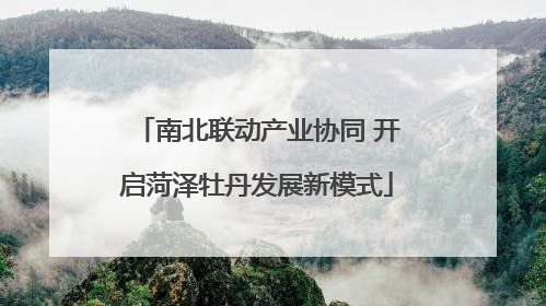 南北联动产业协同 开启菏泽牡丹发展新模式