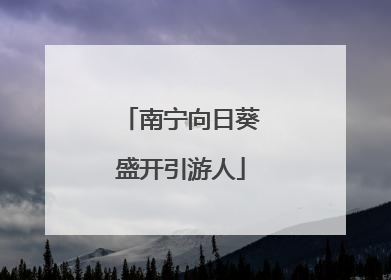 南宁向日葵盛开引游人