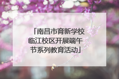 南昌市育新学校临江校区开展端午节系列教育活动