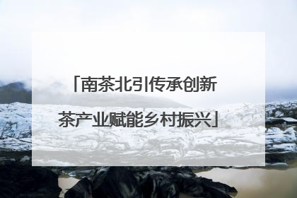 南茶北引传承创新 茶产业赋能乡村振兴
