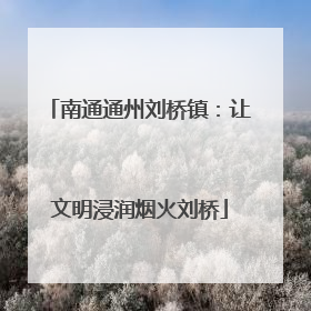 南通通州刘桥镇：让文明浸润烟火刘桥