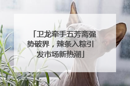卫龙牵手五芳斋强势破界，辣条入粽引发市场新热潮