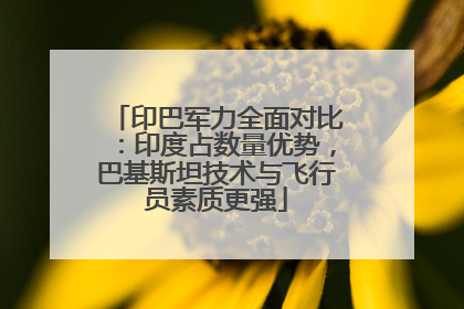 印巴军力全面对比：印度占数量优势，巴基斯坦技术与飞行员素质更强