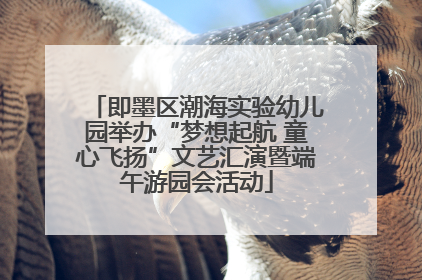 即墨区潮海实验幼儿园举办“梦想起航 童心飞扬”文艺汇演暨端午游园会活动