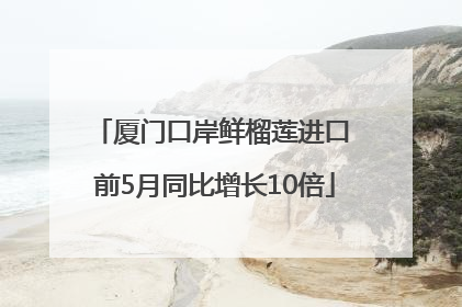 厦门口岸鲜榴莲进口 前5月同比增长10倍