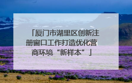 厦门市湖里区创新注册窗口工作打造优化营商环境“新样本”