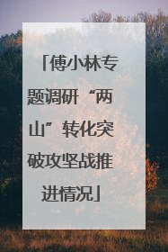 傅小林专题调研“两山”转化突破攻坚战推进情况