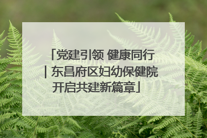 党建引领 健康同行｜东昌府区妇幼保健院开启共建新篇章