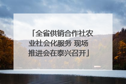 全省供销合作社农业社会化服务 现场推进会在泰兴召开