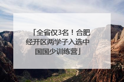 全省仅3名！合肥经开区两学子入选中国国少训练营