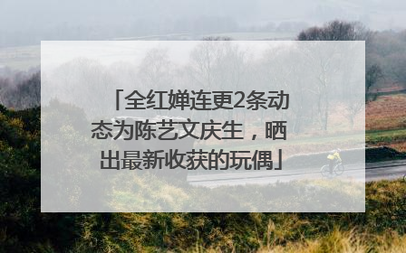 全红婵连更2条动态为陈艺文庆生，晒出最新收获的玩偶