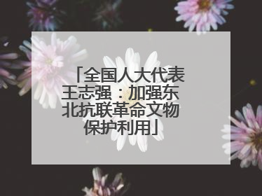 全国人大代表王志强：加强东北抗联革命文物保护利用