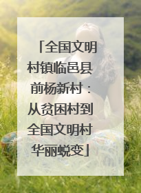全国文明村镇临邑县前杨新村：从贫困村到全国文明村华丽蜕变