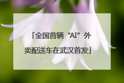 全国首辆“AI”外卖配送车在武汉首发