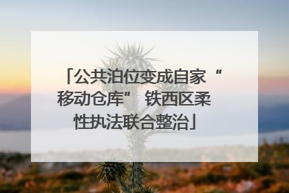 公共泊位变成自家“移动仓库” 铁西区柔性执法联合整治