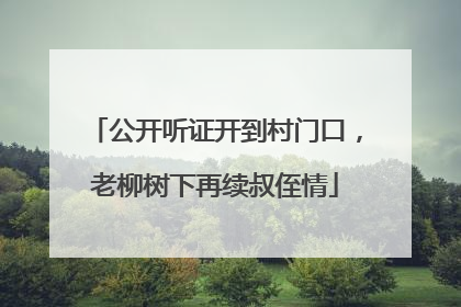 公开听证开到村门口，老柳树下再续叔侄情