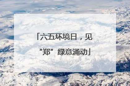 六五环境日，见“郑”绿意涌动