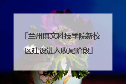 兰州博文科技学院新校区建设进入收尾阶段