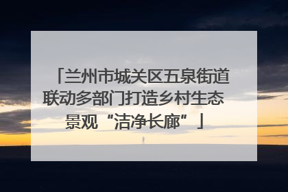 兰州市城关区五泉街道联动多部门打造乡村生态景观“洁净长廊”