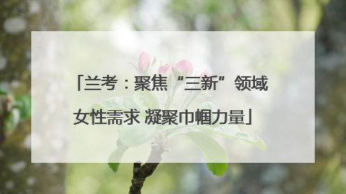 兰考：聚焦“三新”领域女性需求 凝聚巾帼力量