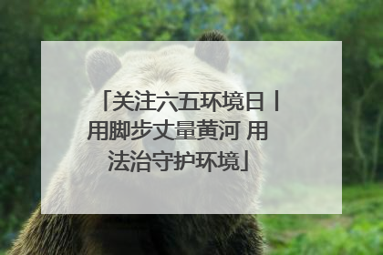 关注六五环境日丨用脚步丈量黄河 用法治守护环境