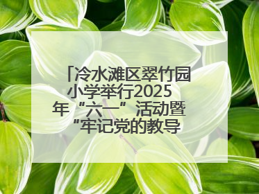 冷水滩区翠竹园小学举行2025年“六一”活动暨“牢记党的教导 争做强国少年”新队员入队仪式