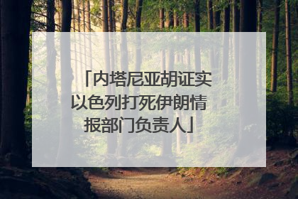 内塔尼亚胡证实以色列打死伊朗情报部门负责人