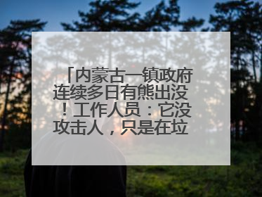 内蒙古一镇政府连续多日有熊出没！工作人员：它没攻击人，只是在垃圾桶翻找食物